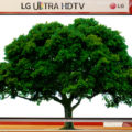 Rooted TV